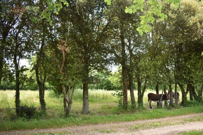 Image No.15-Maison de 5 chambres à vendre à Deux-Sevres