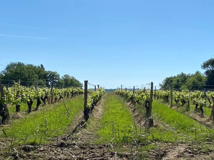 Image No.10-3 Bed House for sale