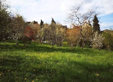 fa99ee8abfdb6e497778eaba3e0059f08509231125798