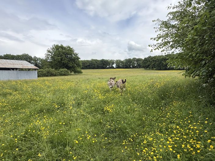 Image No.14-3 Bed House for sale