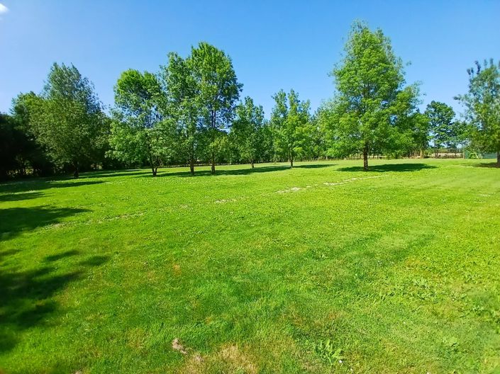 Image No.5-Maison de 5 chambres à vendre à Sainte-Sévère