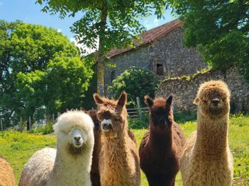 708074ff1792af783519af0f0a2113400360a07ece192