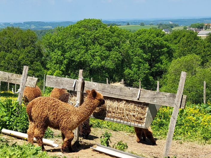 Image No.3-5 Bed House for sale