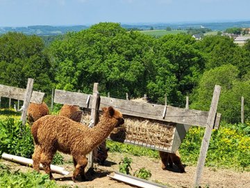 2d81d7e7d8ac3ff4e15c5f969de110ae6f7bc67735192