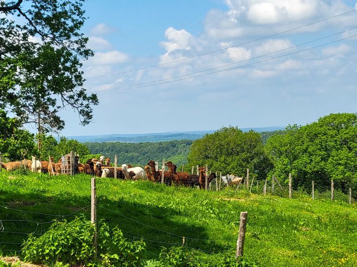 Image No.5-5 Bed House for sale