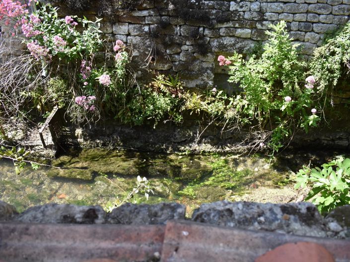 Image No.15-Maison de village de 1 chambre à vendre à Dampierre-sur-Boutonne