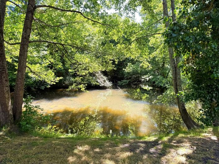 Image No.6-Maison de village de 4 chambres à vendre à Alloue