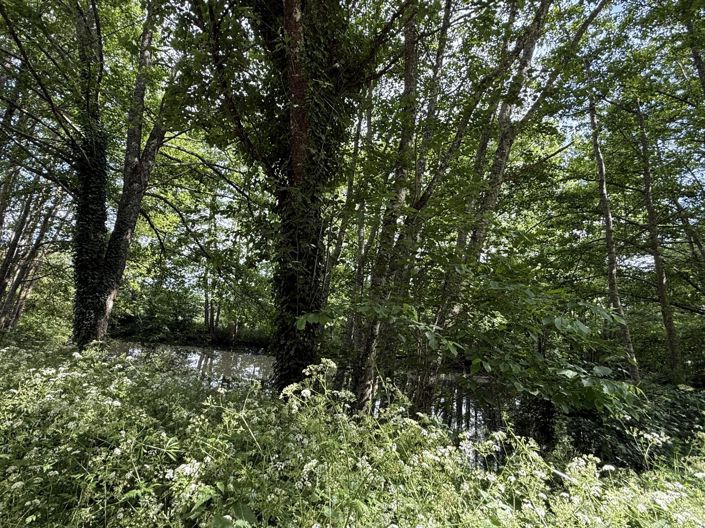 Image No.15-3 Bed House for sale