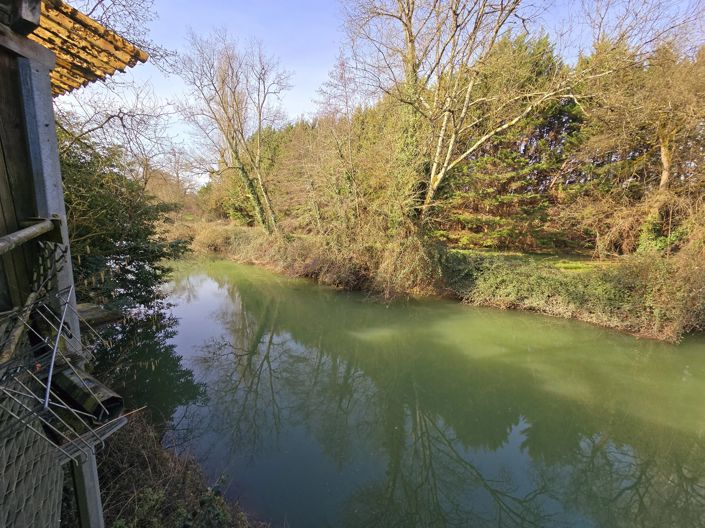 Image No.15-3 Bed House for sale