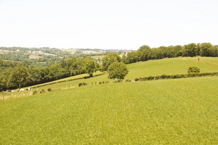 Image No.15-Maison de 5 chambres à vendre à Maleville