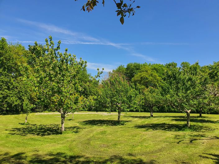 Image No.2-5 Bed House for sale