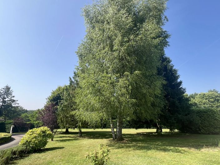 Image No.15-4 Bed House for sale