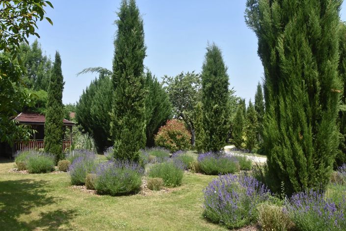 Image No.14-Maison de 5 chambres à vendre à Savigné