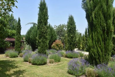 246710c236b8544bc239d2bc5bde240823d6fbe0d6192