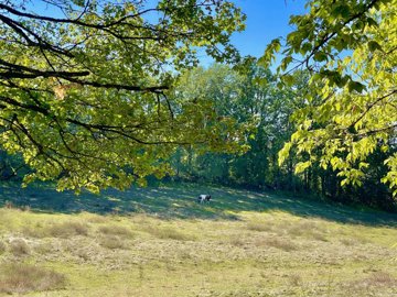 6b4b7953a3ce7c3a9a81ed4a63ba77c8094117da9c403