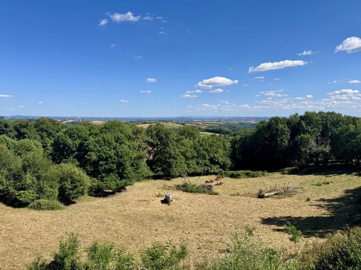 Image No.13-2 Bed Village House for sale