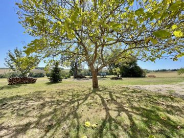 a2ec3009f526c81d4a420a73c63c7c10c3912cca06192