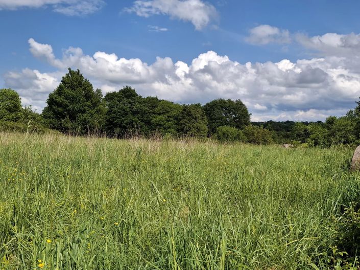 Image No.5-3 Bed House for sale