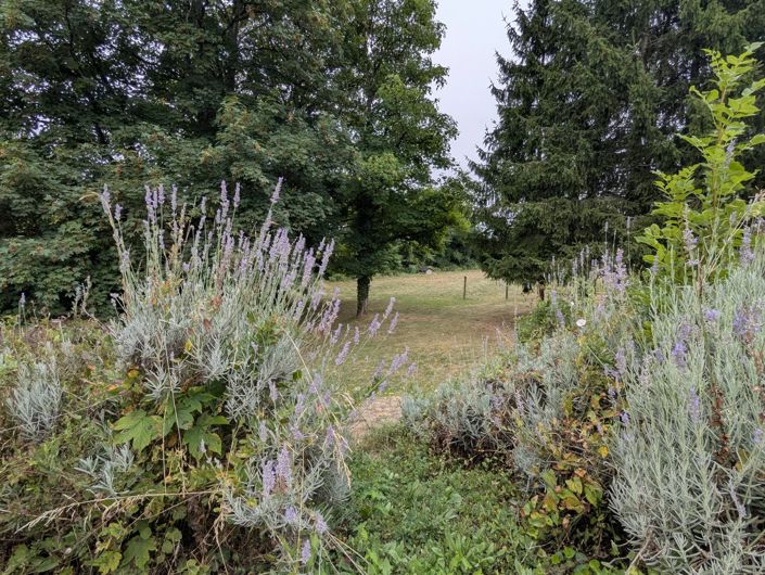 Image No.2-Maison de village de 5 chambres à vendre à La Souterraine