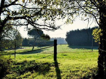 11067395cf914cf2fcef0a993dd9e385916f19bb55192