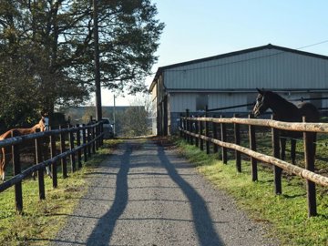 e83eddf5c8d1c94fae7c4de2541a838f1d25dad905192