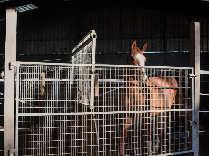 Image No.5-3 Bed House for sale