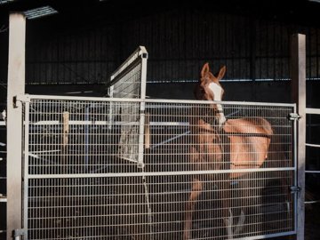 c38d0c741cd14776283dc2d60c95880ecfce275122192