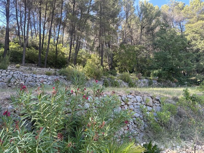 Image No.5-Maison de 6 chambres à vendre à Auriol