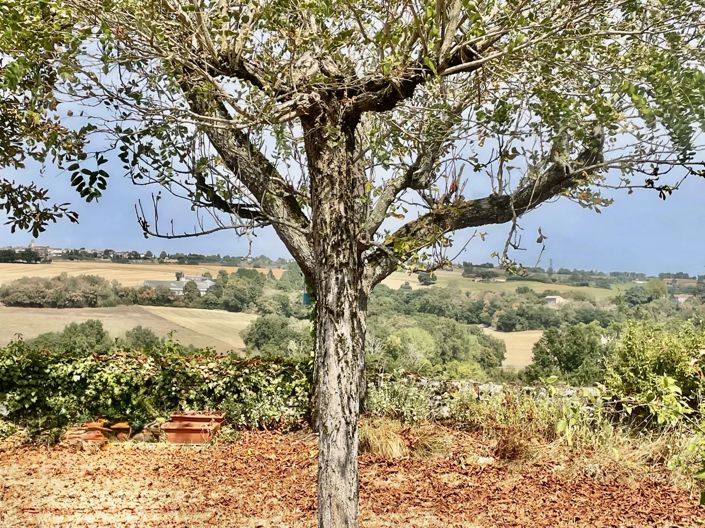 Image No.14-3 Bed House for sale