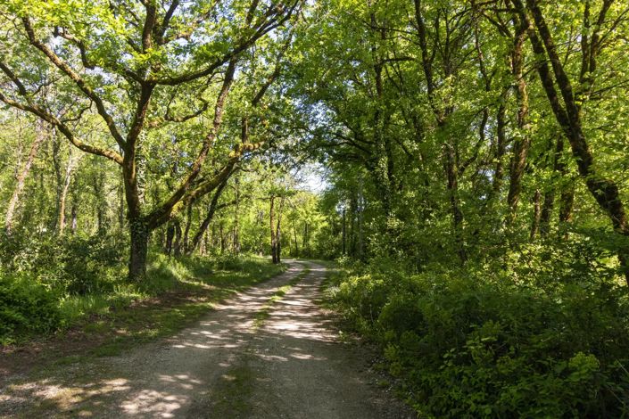 Image No.2-Maison de 5 chambres à vendre à Douzat