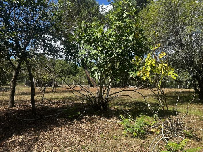 Image No.15-Ferme de 2 chambres à vendre à Brossac