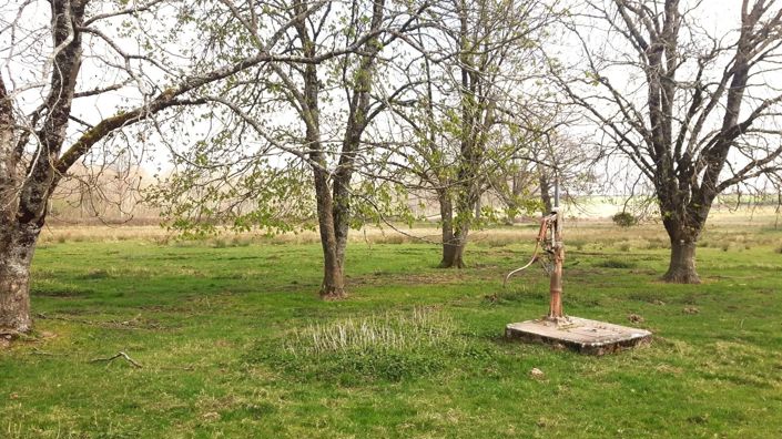 Image No.13-1 Bed House for sale