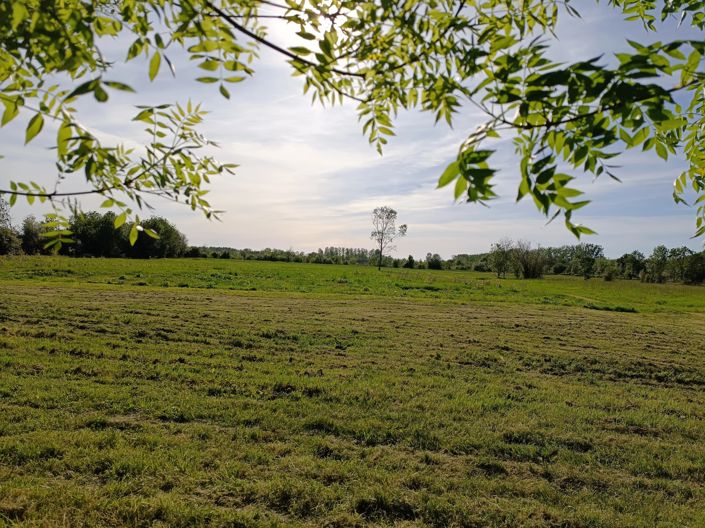 Image No.2-4 Bed House for sale