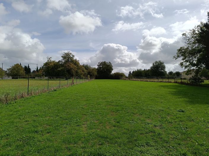 Image No.3-Maison de 7 chambres à vendre à Néré