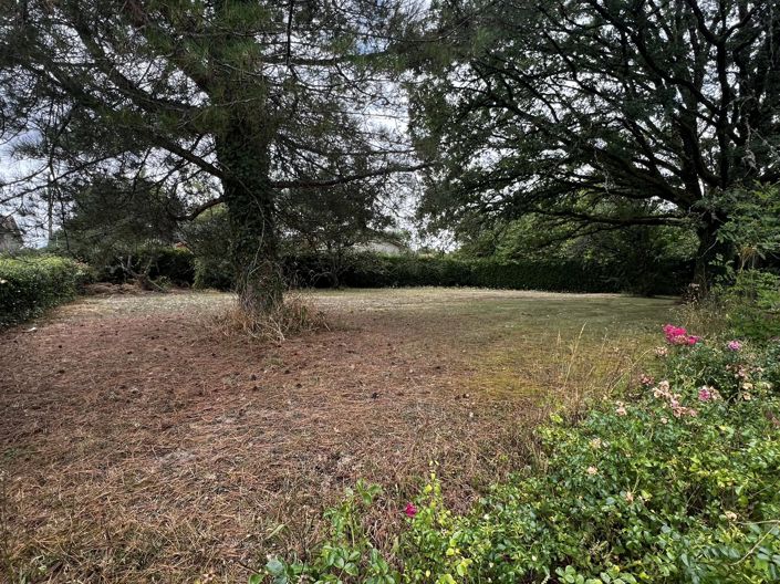 Image No.12-3 Bed House for sale