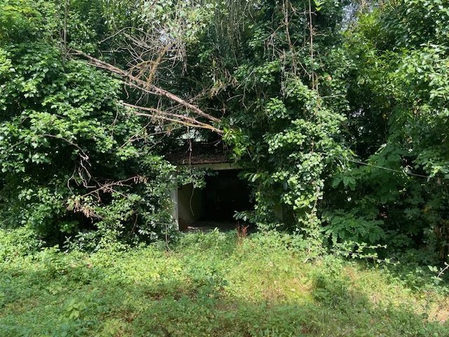 Image No.13-Maison de 4 chambres à vendre à La Tour-Blanche