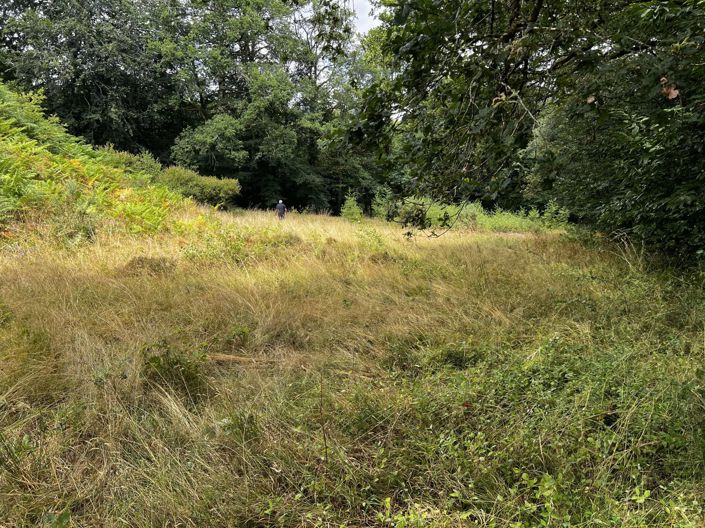 Image No.4-Maison à vendre à Cieux