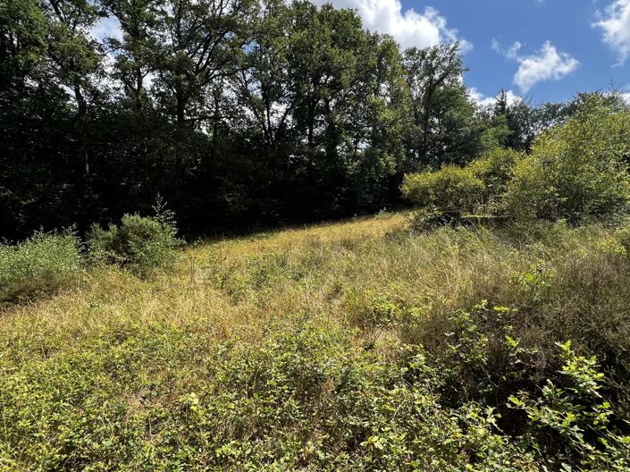 Image No.5-Maison à vendre à Cieux