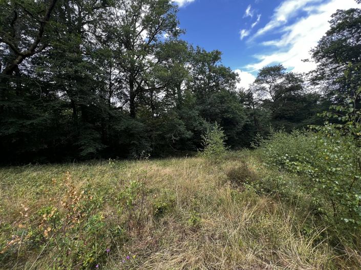 Image No.7-Maison à vendre à Cieux