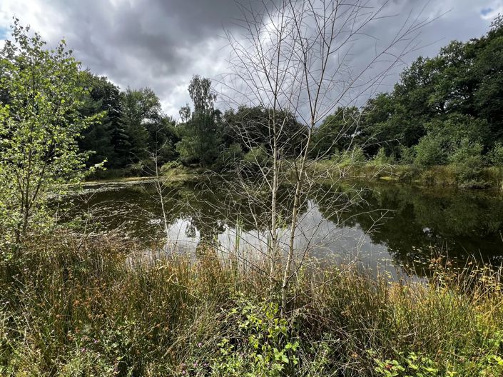Image No.8-Maison à vendre à Cieux