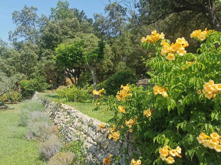 Image No.10-7 Bed House for sale