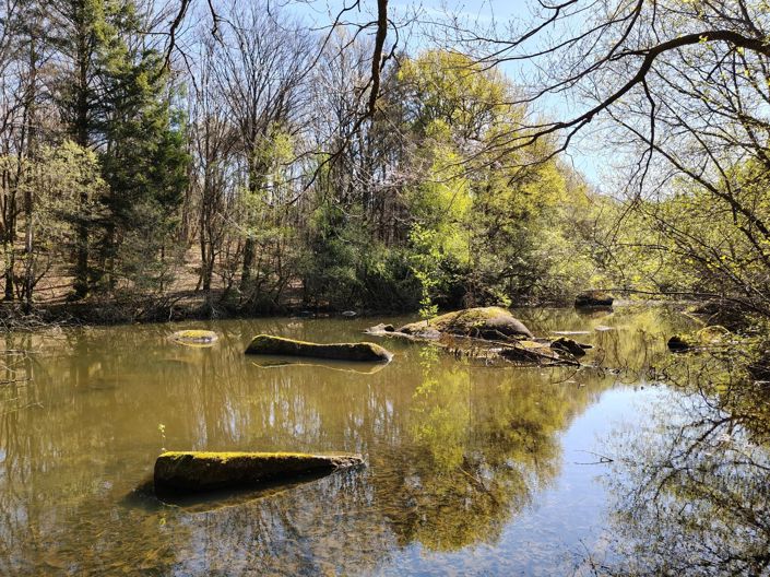 Image No.2-House for sale