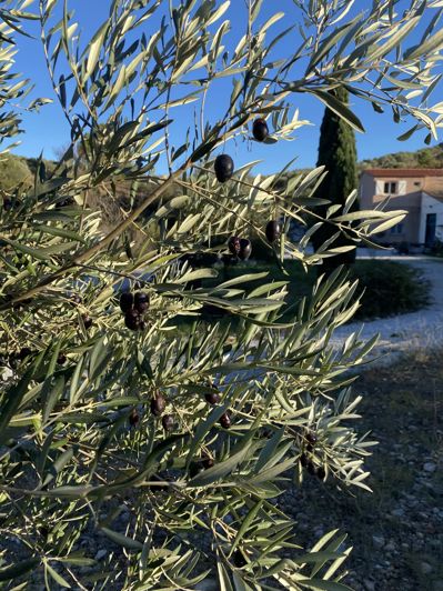 Image No.6-12 Bed House for sale