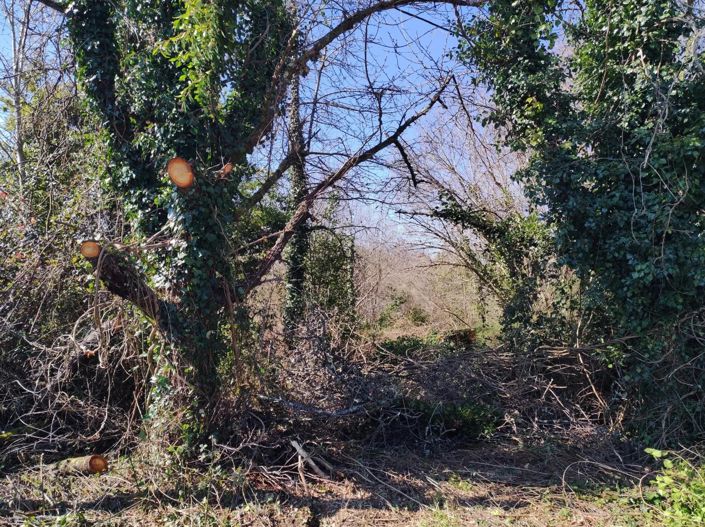 Image No.2-Property for sale