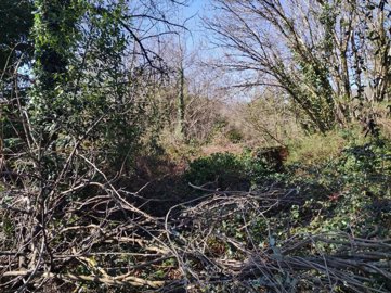 a7851ced373b293fc29e54bd96eb64375e6a7fb883192