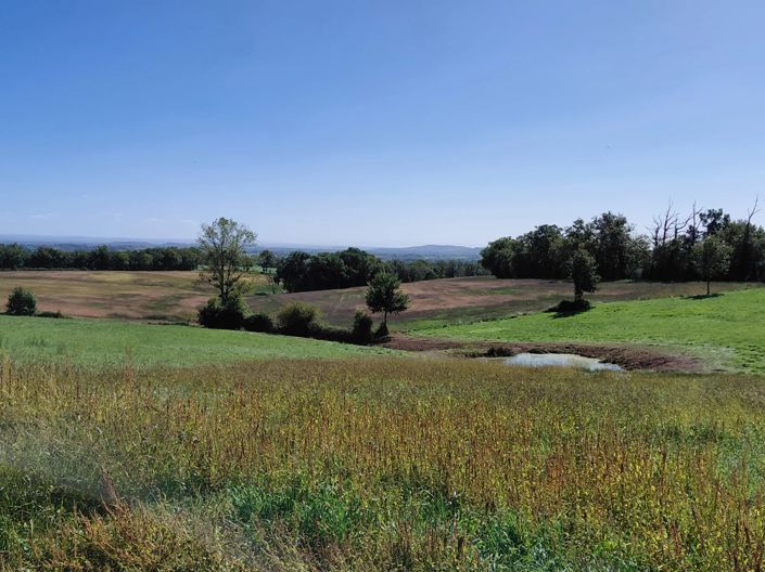 Image No.3-Maison de 6 chambres à vendre à Mirandol-Bourgnounac