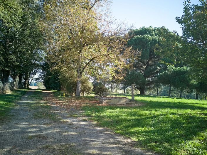 Image No.4-Maison de 6 chambres à vendre à Mirandol-Bourgnounac