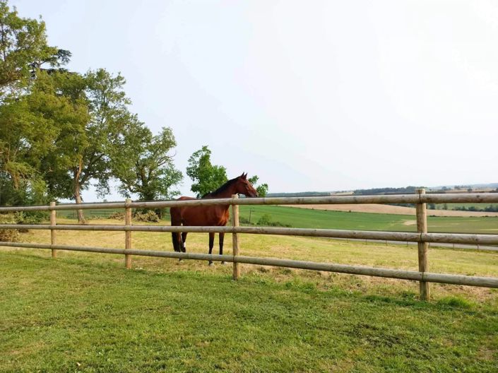 Image No.15-3 Bed House for sale