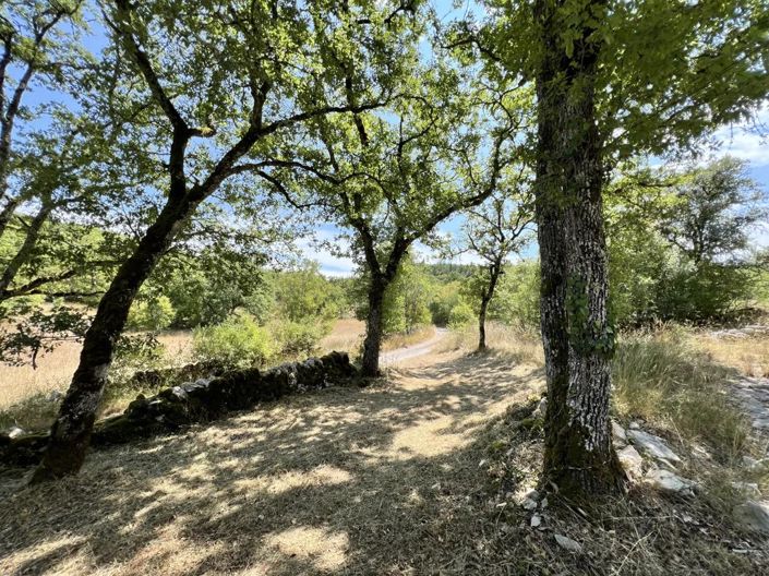 Image No.13-1 Bed House for sale