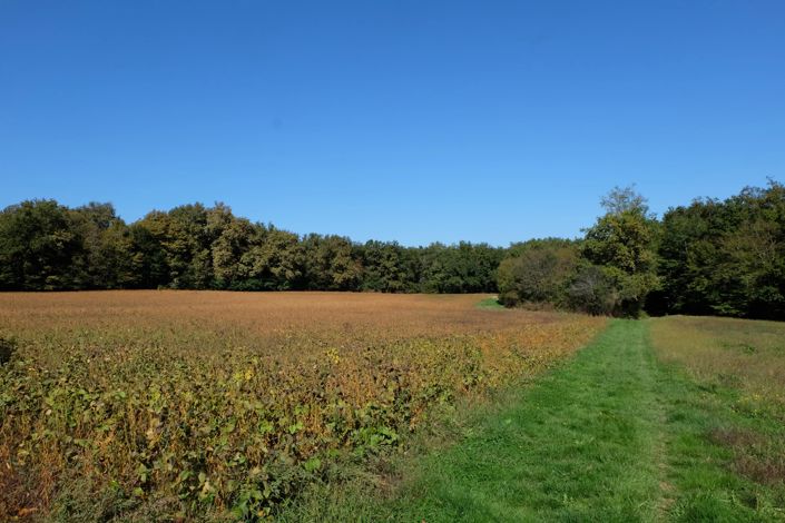 Image No.11-2 Bed House for sale